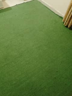 Used Grass Carpet