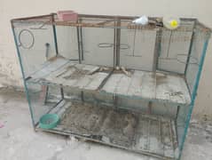 Cages for parrots/ hens / others
