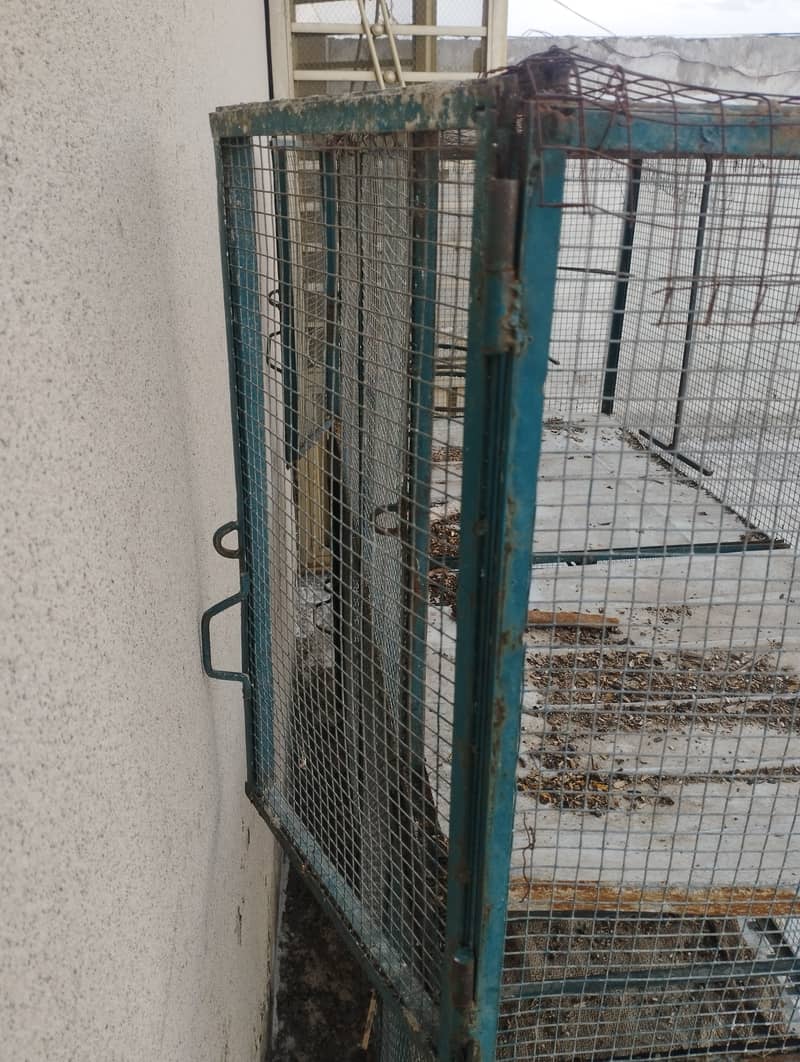 Cages for parrots/ hens / others 3