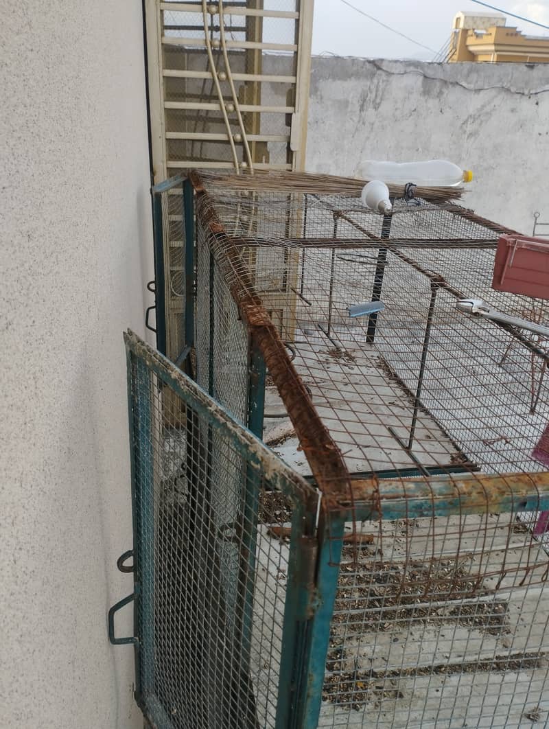 Cages for parrots/ hens / others 4