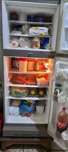 Pel refrigerator , Large size , Gray colour