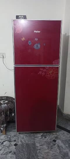 Haier Full Size Refrigerator in Perfect Condition