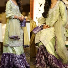 Wedding Engagement Event Party Wear Dress Farshi Gharara Pastel - S
