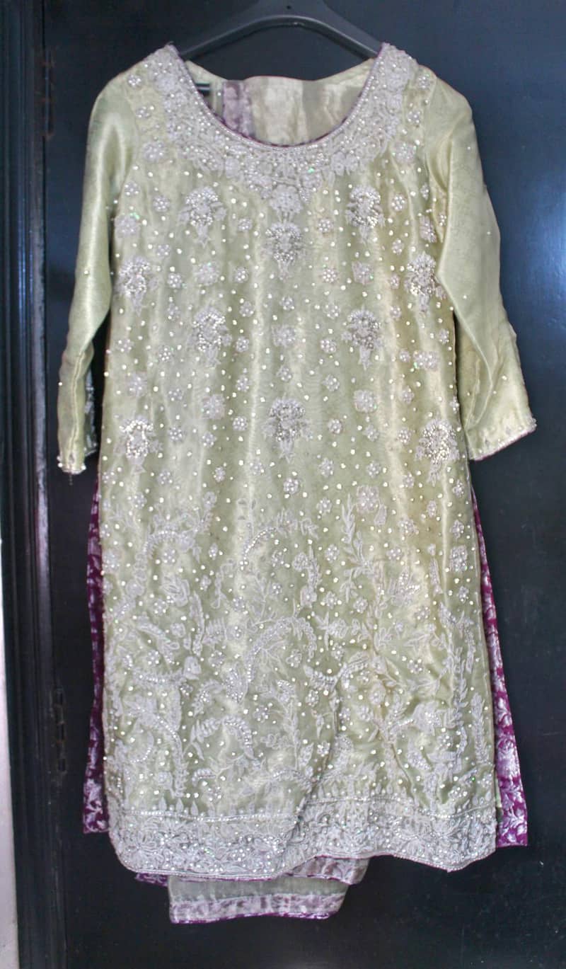 Wedding Engagement Event Party Wear Dress Farshi Gharara Pastel - S 3