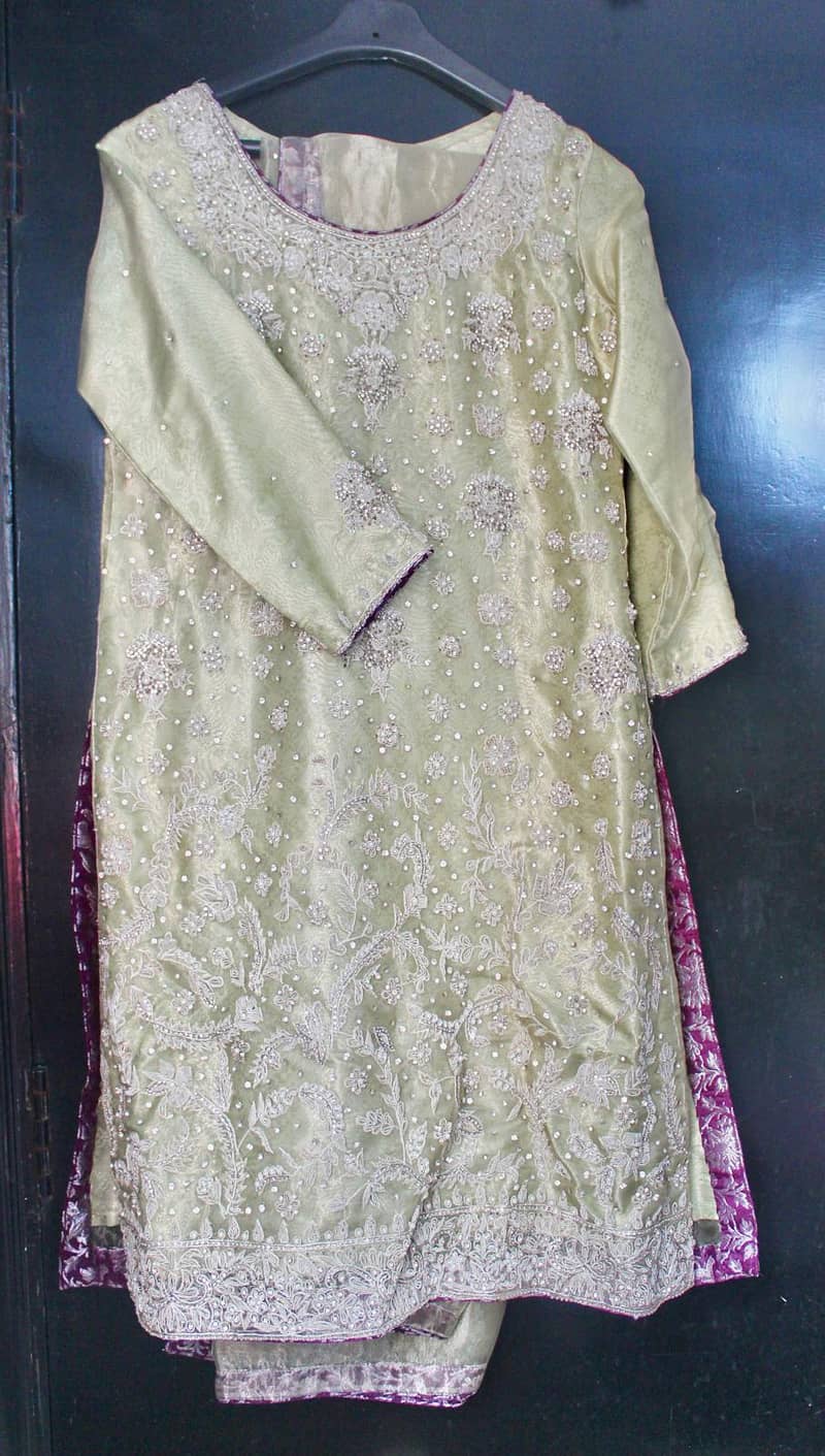 Wedding Engagement Event Party Wear Dress Farshi Gharara Pastel - S 5