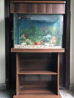 Fsih Aquarium  compatible size for fishes
