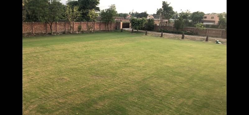 swimming pool and lawn for rent 5