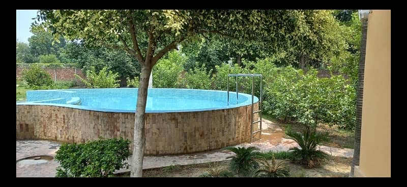 swimming pool and lawn for rent 16