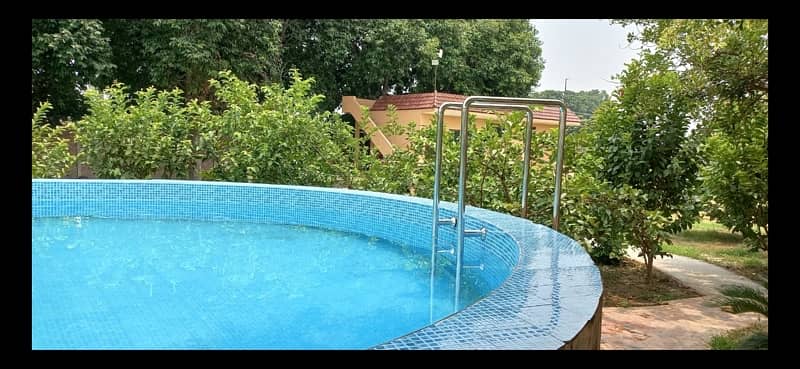 swimming pool and lawn for rent 17