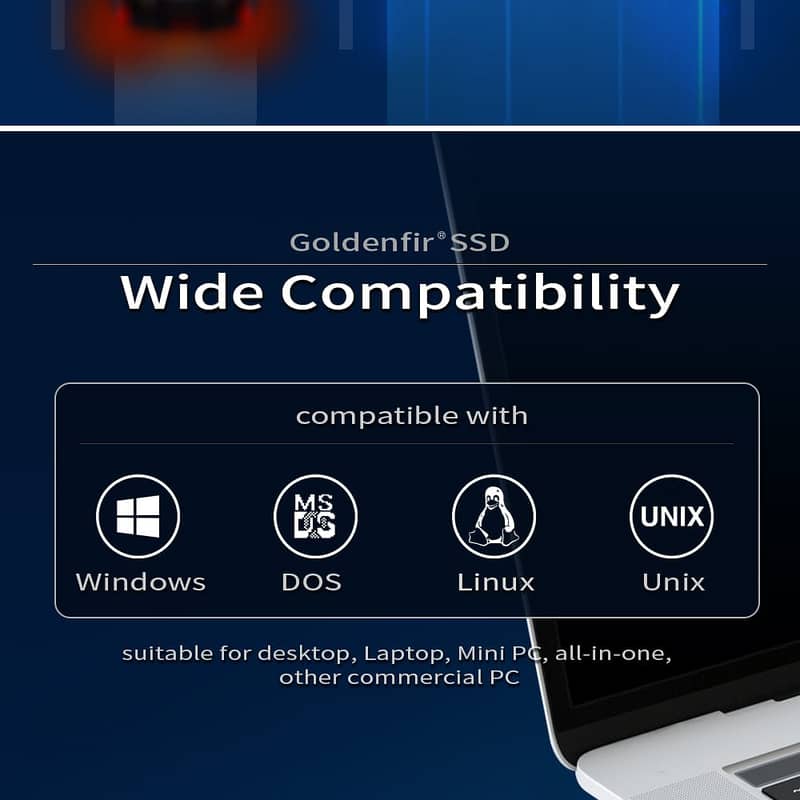 Goldenfirwide compaibility SSD 3
