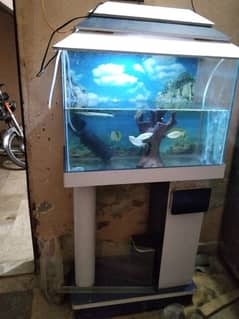 2 fish aquariums Available for sale 2 feet.