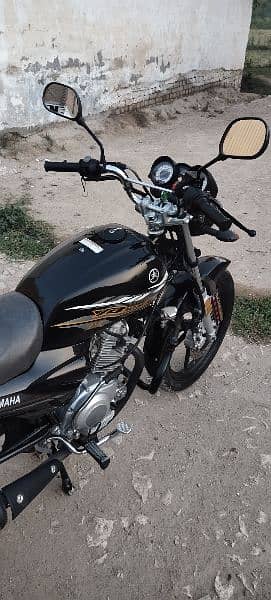 Yamaha ybz DX (2020) 1