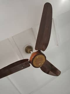 fancy ceiling fans