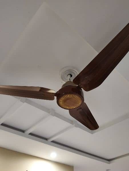 fancy ceiling fans 1