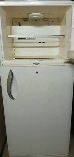 LG large size fridge
