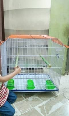 ringneak perrot cage for sale