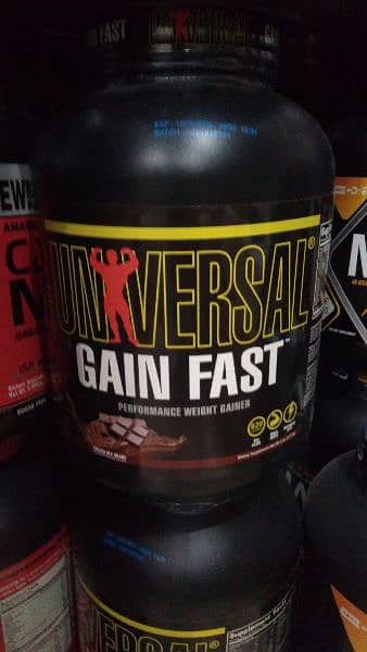Whey protein and mass/weight gainer in whole sale 18