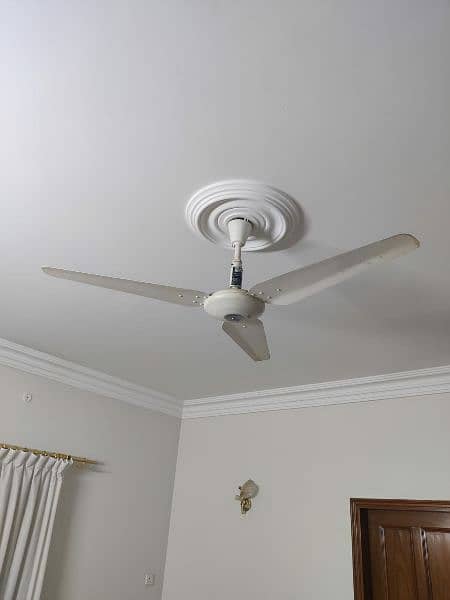 Ceiling Fan (millat fan) 1