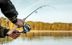 Fishing reel with rods 0