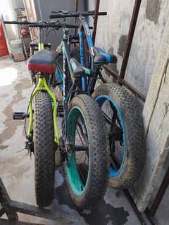 Fat tyre bycycle 3