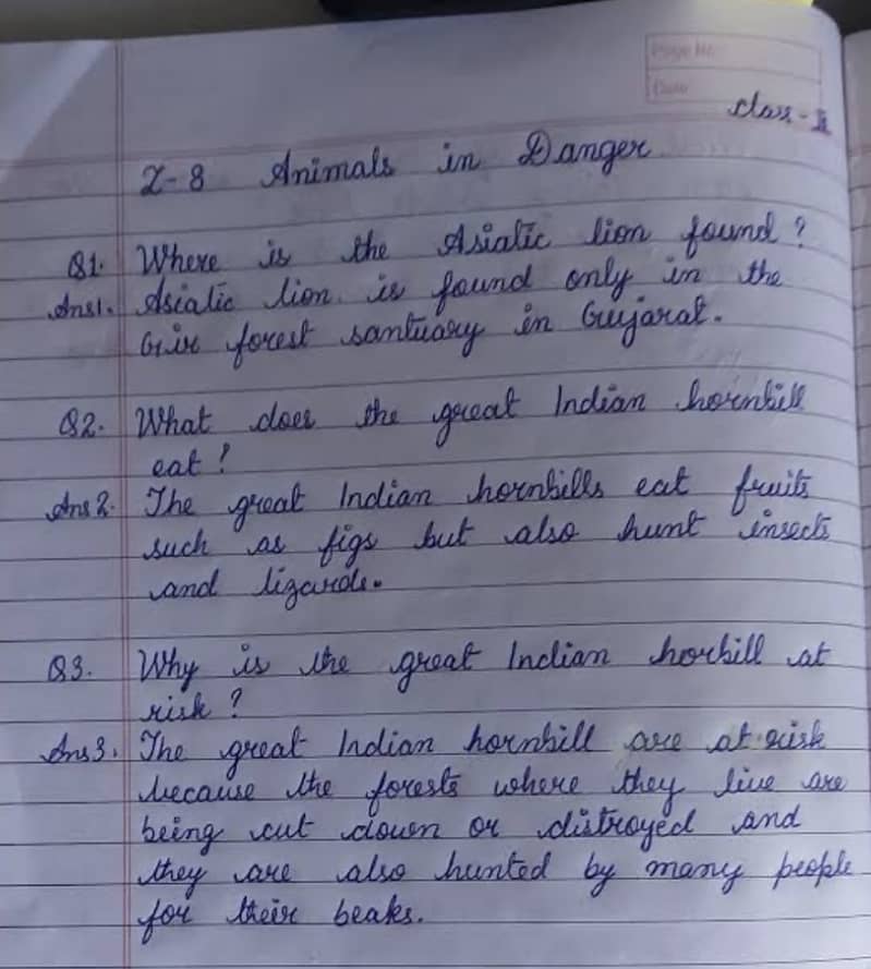 Handwriting assignment Work 13