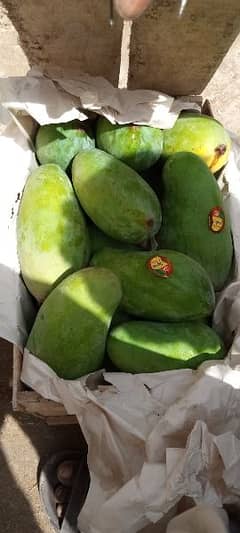 Sindhri Mangoes Fresh Farm available