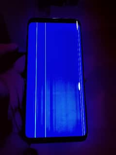 Samsung S9 plus 6gb 64gb Official Approved