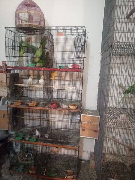 for sell perrot 5