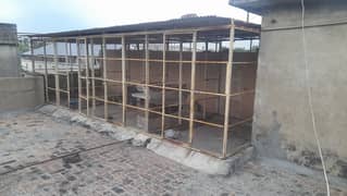 Cages for sale 03332126732