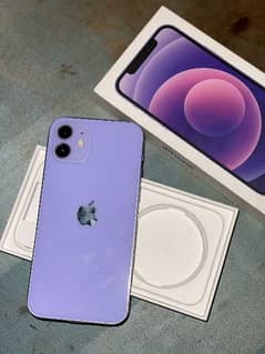 iphone 12 purple