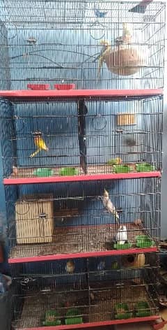 SELLING CAGE WITH ALL BIRDS