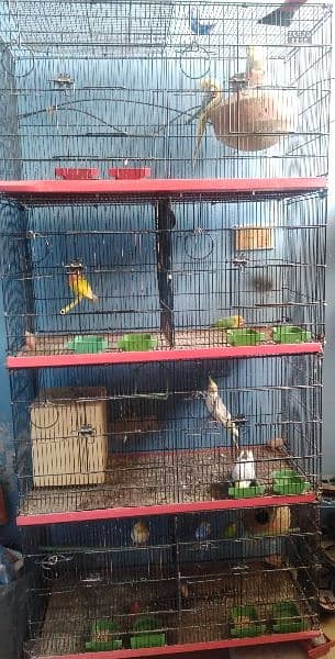 SELLING CAGE WITH ALL BIRDS 0