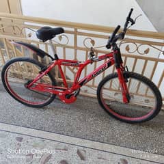 Full size bicycle 0