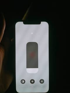 iphone 12 with original adapter and pin