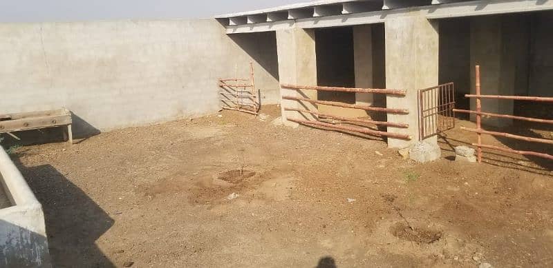 Cattle Farm Fully Furnished for sale at best location 12