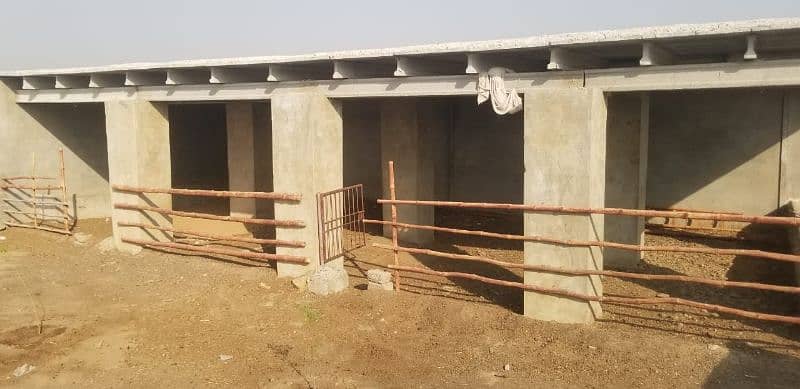 Cattle Farm Fully Furnished for sale at best location 16