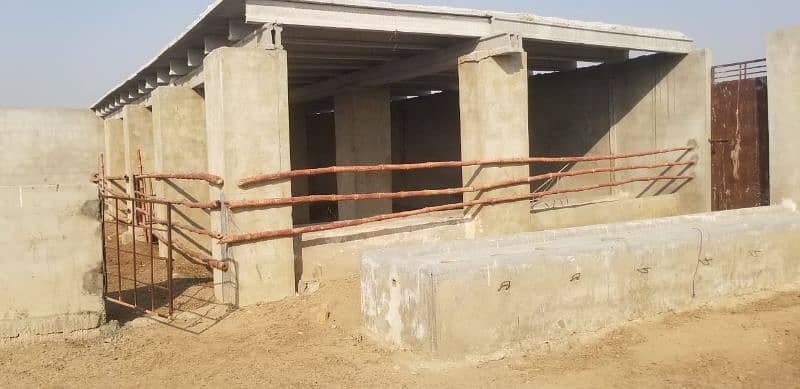 Cattle Farm Fully Furnished for sale at best location 17