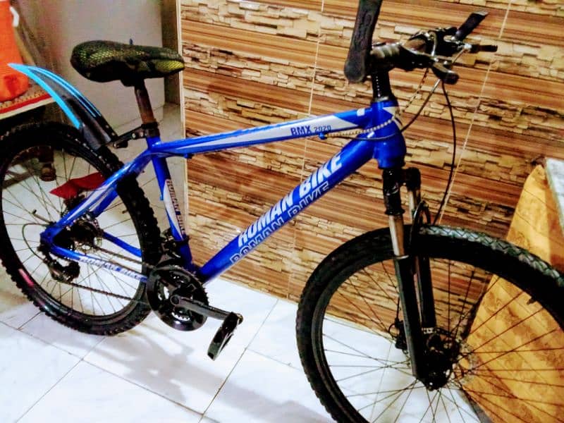 bicycle impoted ful size 26 inch call number,03149505437 roman bike 1