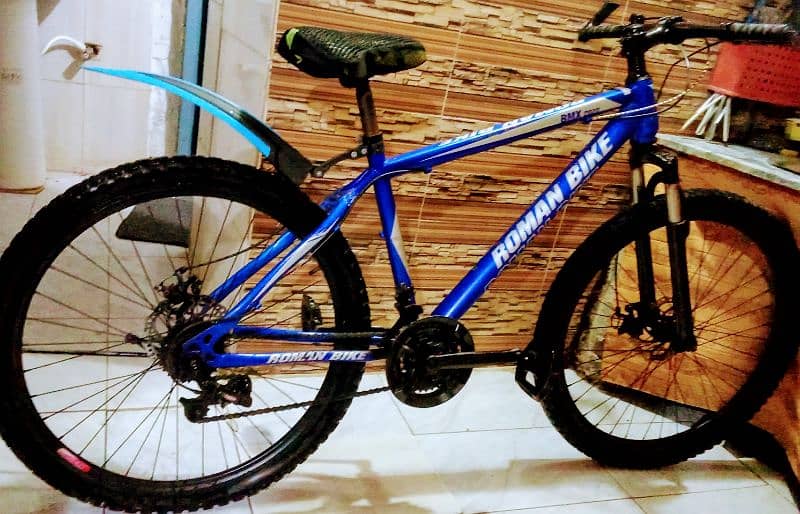 bicycle impoted ful size 26 inch call number,03149505437 roman bike 3