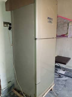 Full Size Refrigerator Fridge PEL