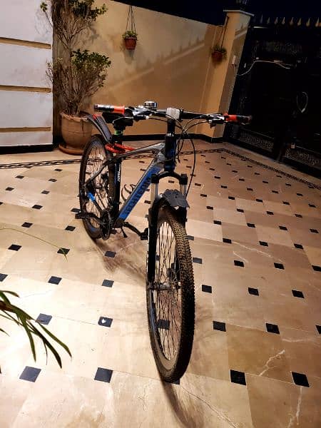 Cobalt full size bicycle 29" tyres 7