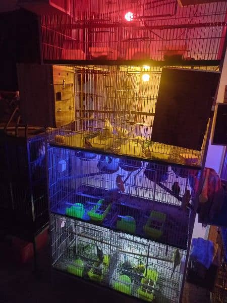 brand new eight portion cage very heavy wires 7