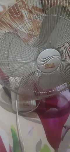 white fan