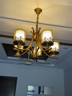 Beautiful chandelier slightly used in great condition