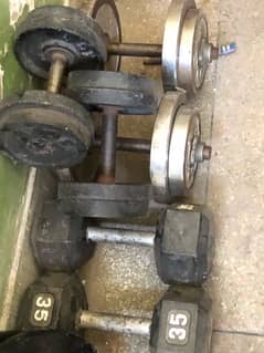 dumbells weights plates 200 per kg