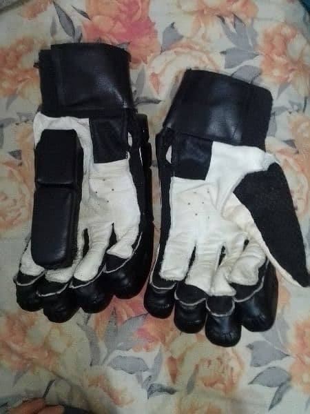 Cricket gloves 1