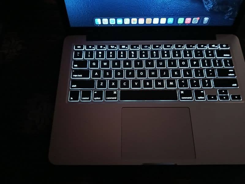 MacBook Pro (Retina, 13 inch, Late 2013) 4