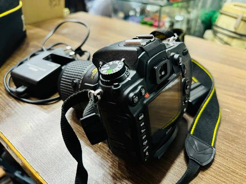 Nikon D7000 With Nikon 55-250mm lens 4