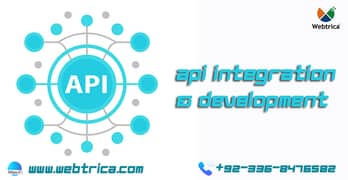 Website Development Web Designing Logo and Graphic Design Marketing 0