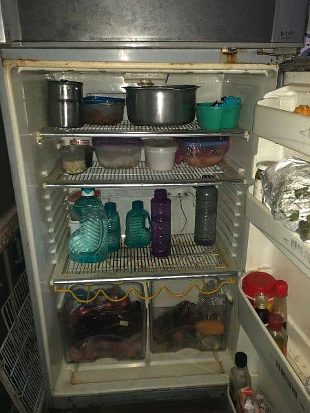 full size dowlene fridge 3